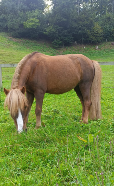 image 09.16.31 image 09.16.31